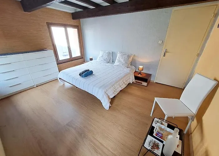 L'échappée Authentique-véranda Climatisée-barbecue Plaisance-du-Touch