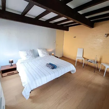 Daire L'echappee Authentique- Maison Centre-ville- Veranda Climatisee-jardin Plaisance-du-Touch