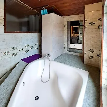 Daire L'echappee Authentique- Maison Centre-ville- Veranda Climatisee-jardin Plaisance-du-Touch