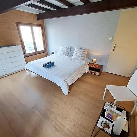 L'echappee Authentique- Maison Centre-ville- Veranda Climatisee-jardin Plaisance-du-Touch